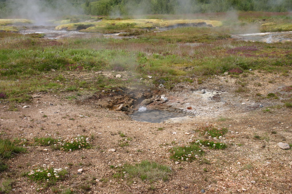 Geysir környéke-több kisebb feltörő forró gejzírrel