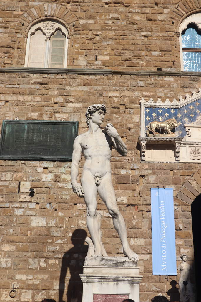 Dávid (másolat)- Michelangelo